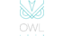 Owl 1975 - Чаши